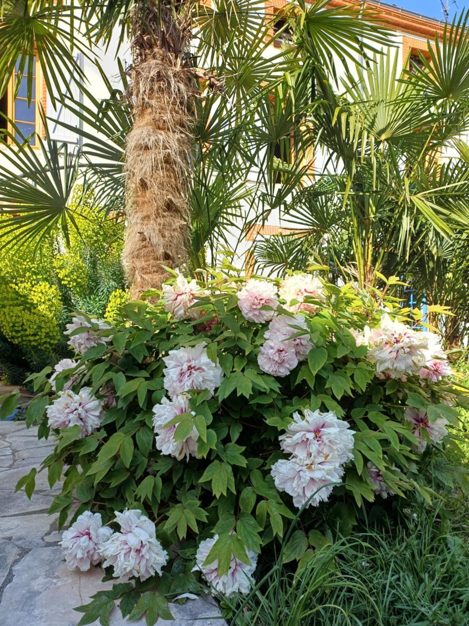 Le Relais De Lezat Hotell Eksteriør bilde